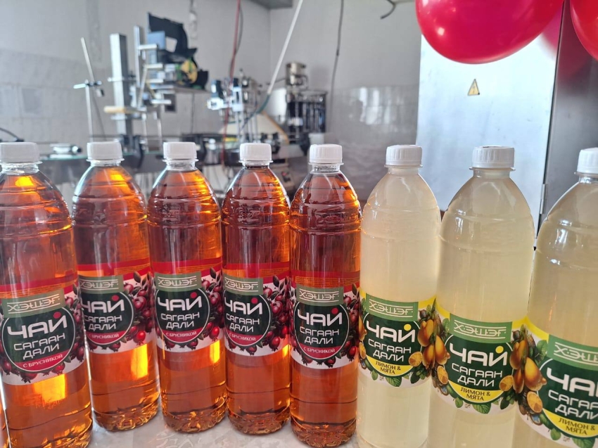 В Забайкалье запустили производство натуральных напитков на основе ягод и трав – помогла господдержка 